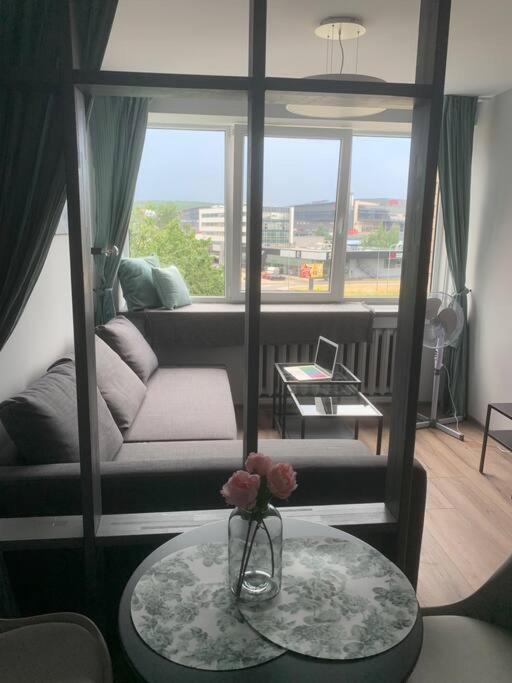 Apartment Near Ozas Wilna Exterior foto